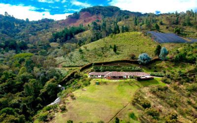 title 2.85 Acre, Four Bedroom Rio Negro Finca Featuring Avocado & Honey Production – 10 Min. From International Airport