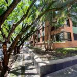 Apartment for Sale in El Poblado, Medellin, Colombia | Low Cost per M2