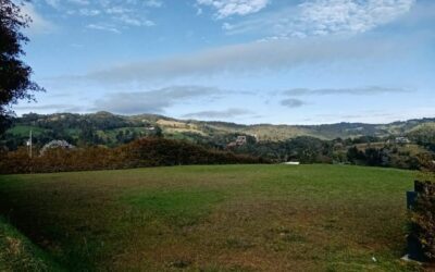 title Well Located .25 Acre Lot In Exclusive 10 Property Subdivision – Easy City Access and 15 Minutes From The International Airport