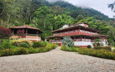 title Enormous Jerico Finca Offering 900m2 Of Space Across 19 Acres