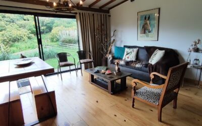 14.86 Acre Finca In La Ceja – One Hour From Medellin With Three Structures and Avocado Production