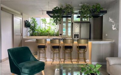 title Remodeled Industrial Style One Bedroom Apartment in San Lucas